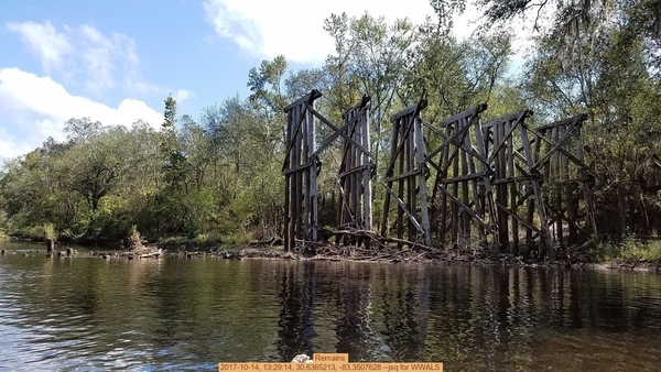 Remains, 2017-10-14, 13:29:14, 30.6365213, -83.3507628 --jsq for WWALS