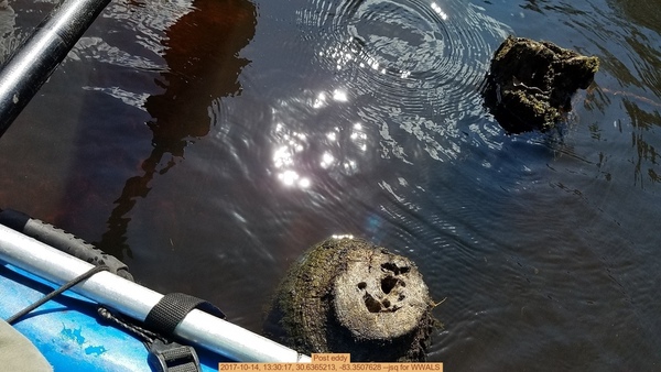 Post eddy, 2017-10-14, 13:30:17, 30.6365213, -83.3507628 --jsq for WWALS