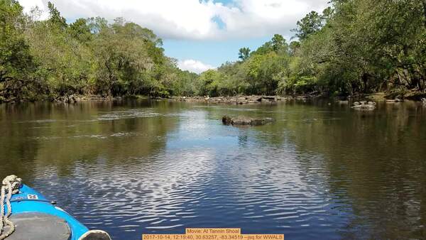 Movie: At Tannin Shoal, 2017-10-14, 12:19:40, 30.63257, -83.34519 --jsq for WWALS