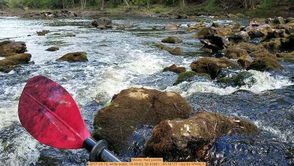 Movie: Red paddle, 2017-10-14, white water, 14:09:43, 30.63461, -83.34177 --jsq for WWALS