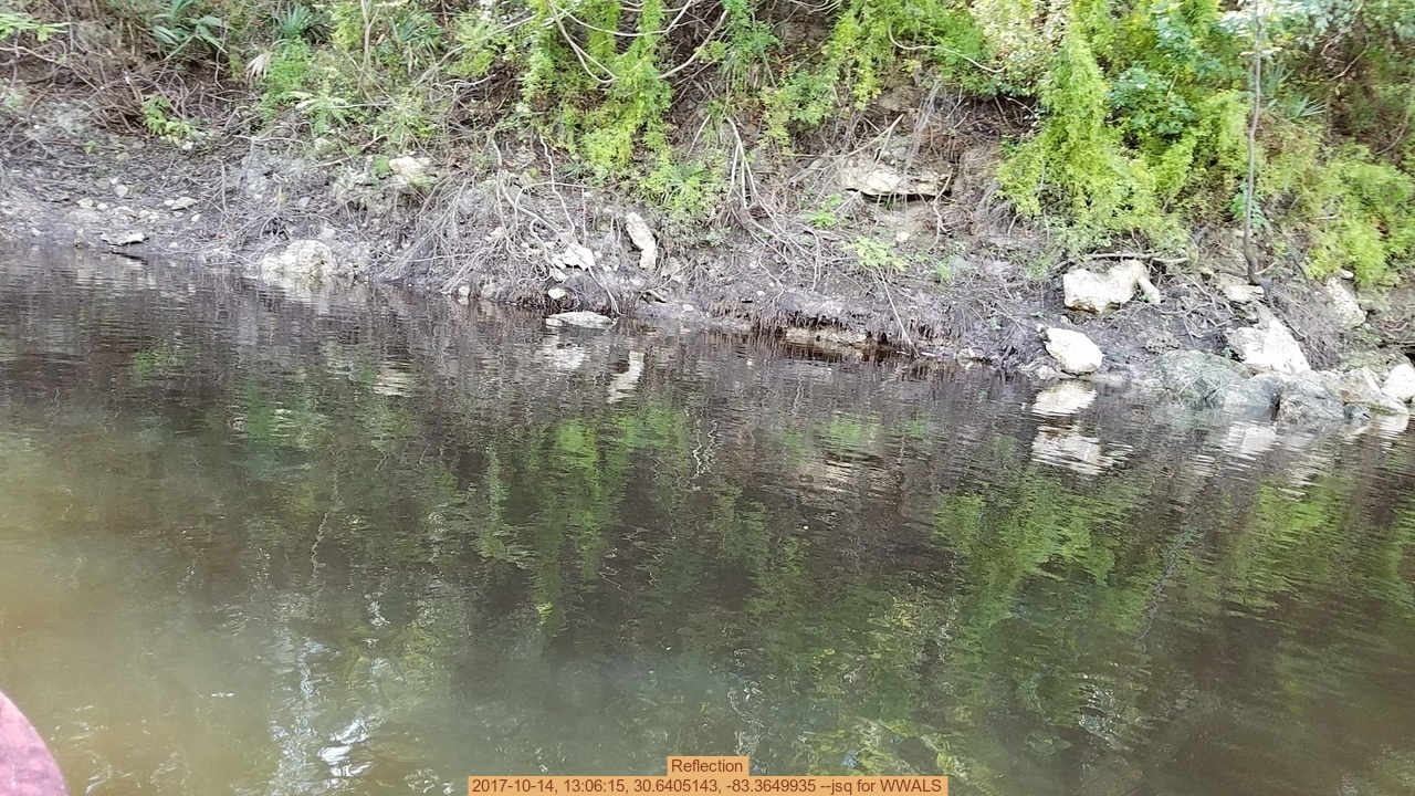 Reflection, 2017-10-14, 13:06:15, 30.6405143, -83.3649935 --jsq for WWALS