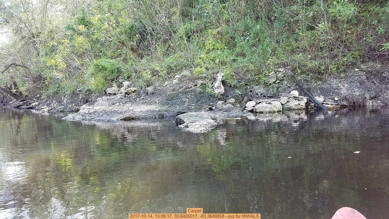 Carpet, 2017-10-14, 13:06:17, 30.6405017, -83.3649858 --jsq for WWALS