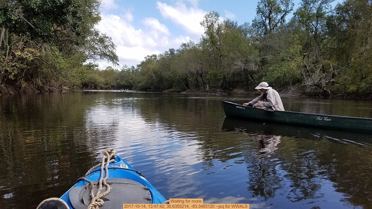 Waiting for more, 2017-10-14, 13:47:42, 30.6355214, -83.3483120 --jsq for WWALS