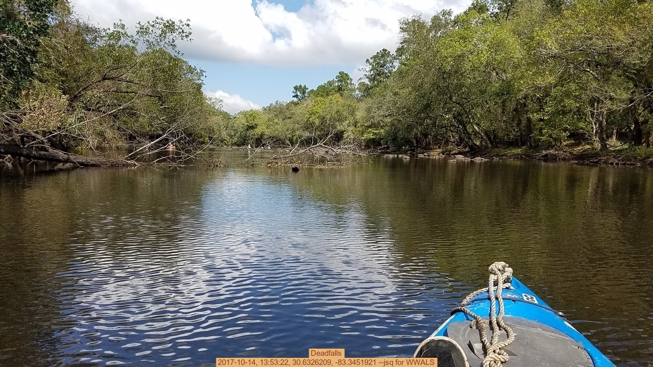 Deadfalls, 2017-10-14, 13:53:22, 30.6326209, -83.3451921 --jsq for WWALS