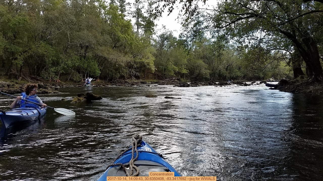 Concentration, 2017-10-14, 14:09:43, 30.6350408, -83.3417692 --jsq for WWALS