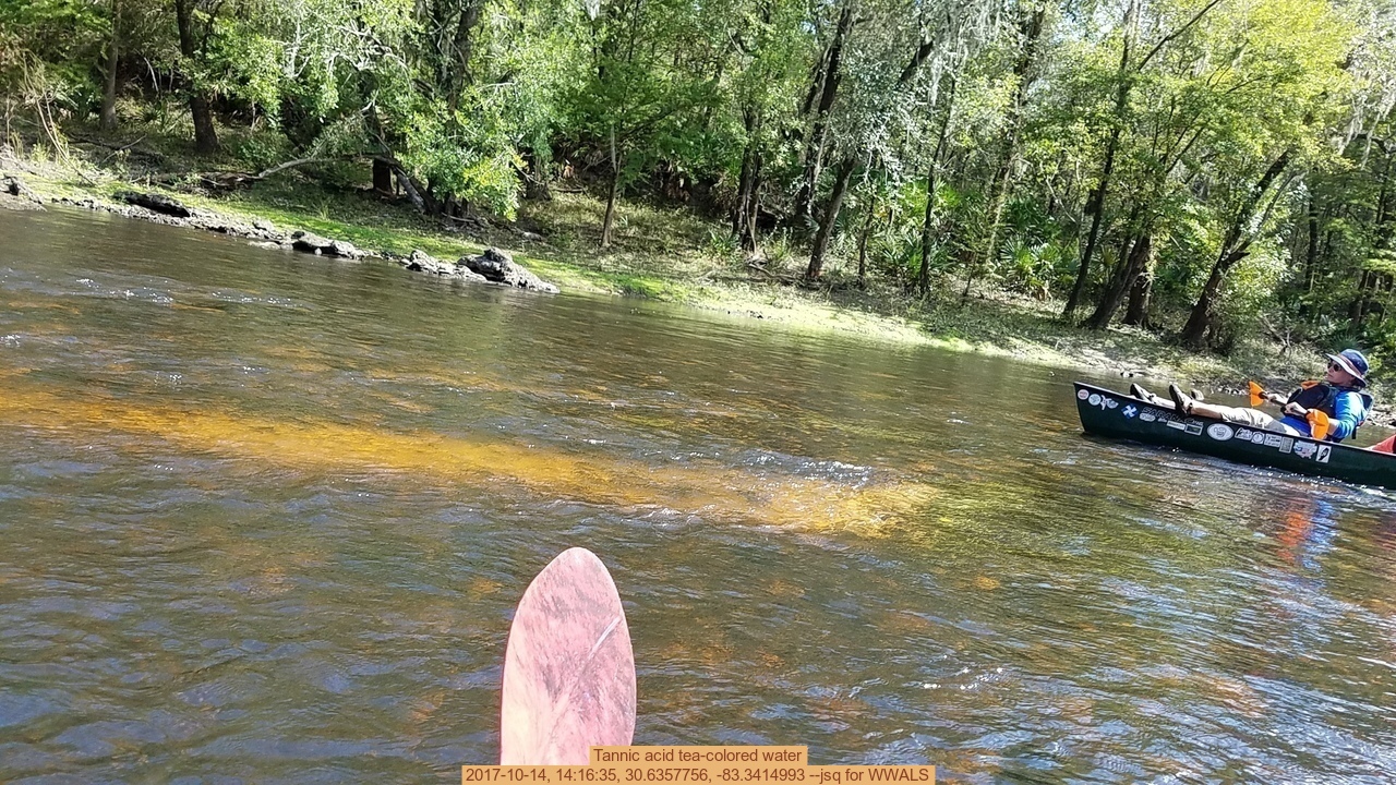 Tannic acid tea-colored water, 2017-10-14, 14:16:35, 30.6357756, -83.3414993 --jsq for WWALS