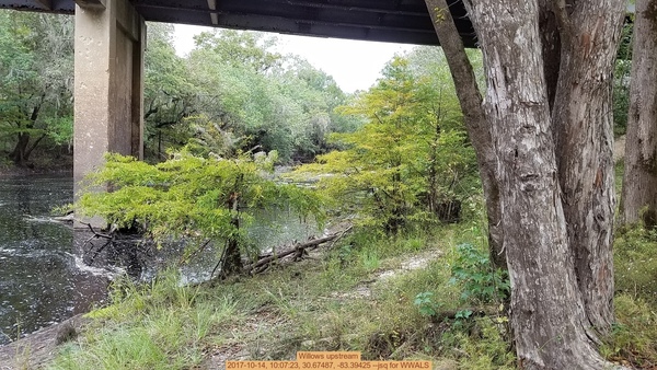 Willows upstream, 2017-10-14, 10:07:23, 30.67487, -83.39425 --jsq for WWALS