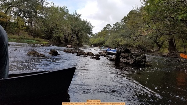 More coming, 2017-10-14, 10:44:44, 30.6673583, -83.3866855 --jsq for WWALS