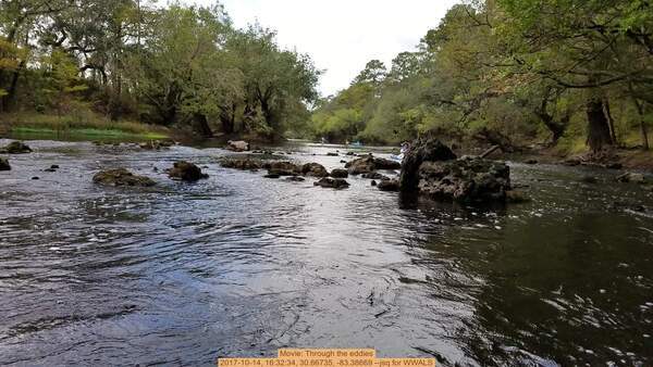 Movie: Through the eddies, 2017-10-14, 16:32:34, 30.66735, -83.38669 --jsq for WWALS