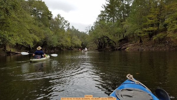 Narrow, 2017-10-14, 11:18:29, 30.65876, -83.36391 --jsq for WWALS