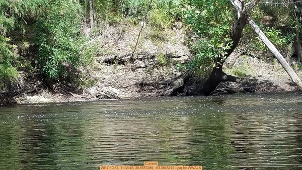 Current, 2017-10-14, 11:38:45, 30.6557289, -83.3645212 --jsq for WWALS