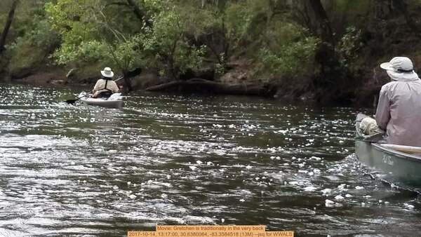 Movie: Gretchen is traditionally in the very back, 2017-10-14, 13:17:00, 30.6380064, -83.3584518 (13M) --jsq for WWALS