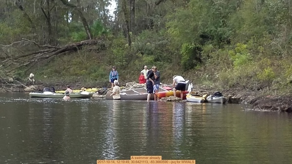 A swimmer already, 2017-10-14, 12:19:49, 30.6421113, -83.3660590 --jsq for WWALS