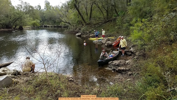 The spring itself, 2017-10-14, 12:23:53, 30.6420756, -83.3661254 --jsq for WWALS