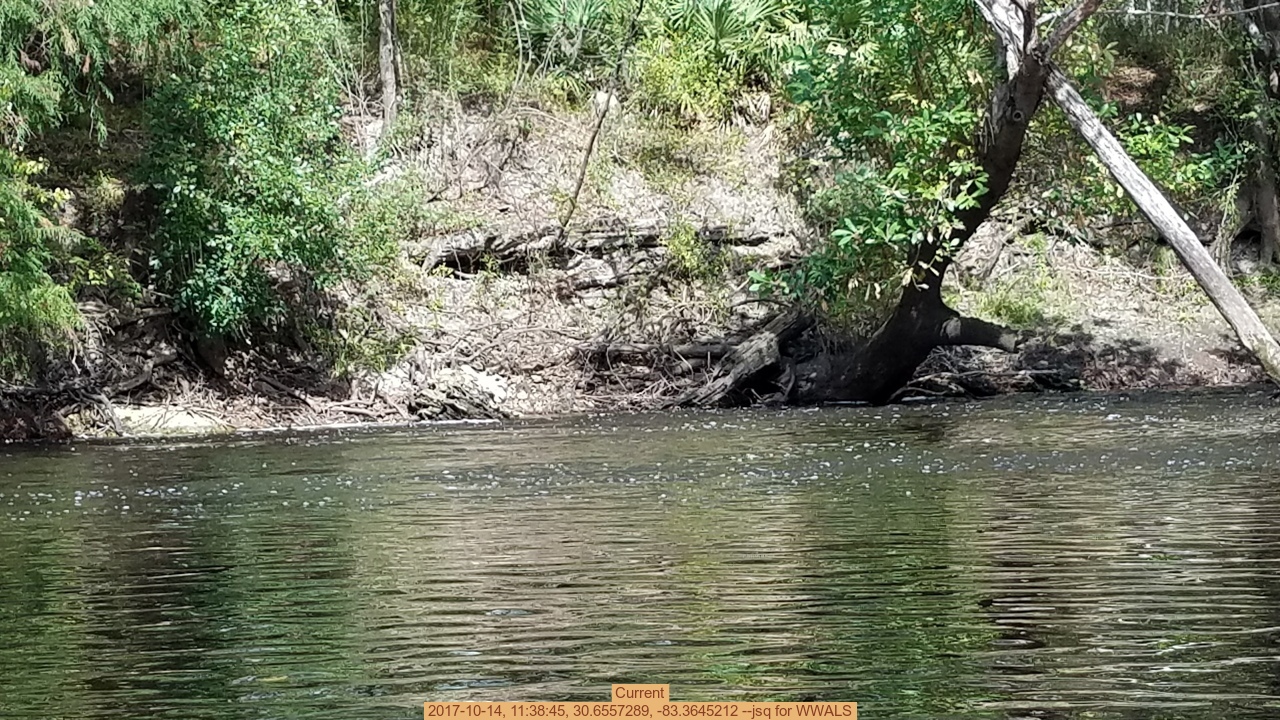 Current, 2017-10-14, 11:38:45, 30.6557289, -83.3645212 --jsq for WWALS