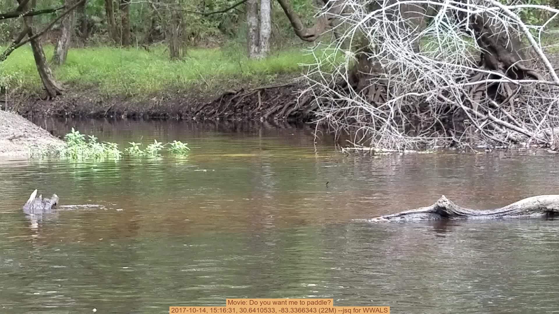 Movie: Do you want me to paddle?, 2017-10-14, 15:16:31, 30.6410533, -83.3366343 (22M) --jsq for WWALS