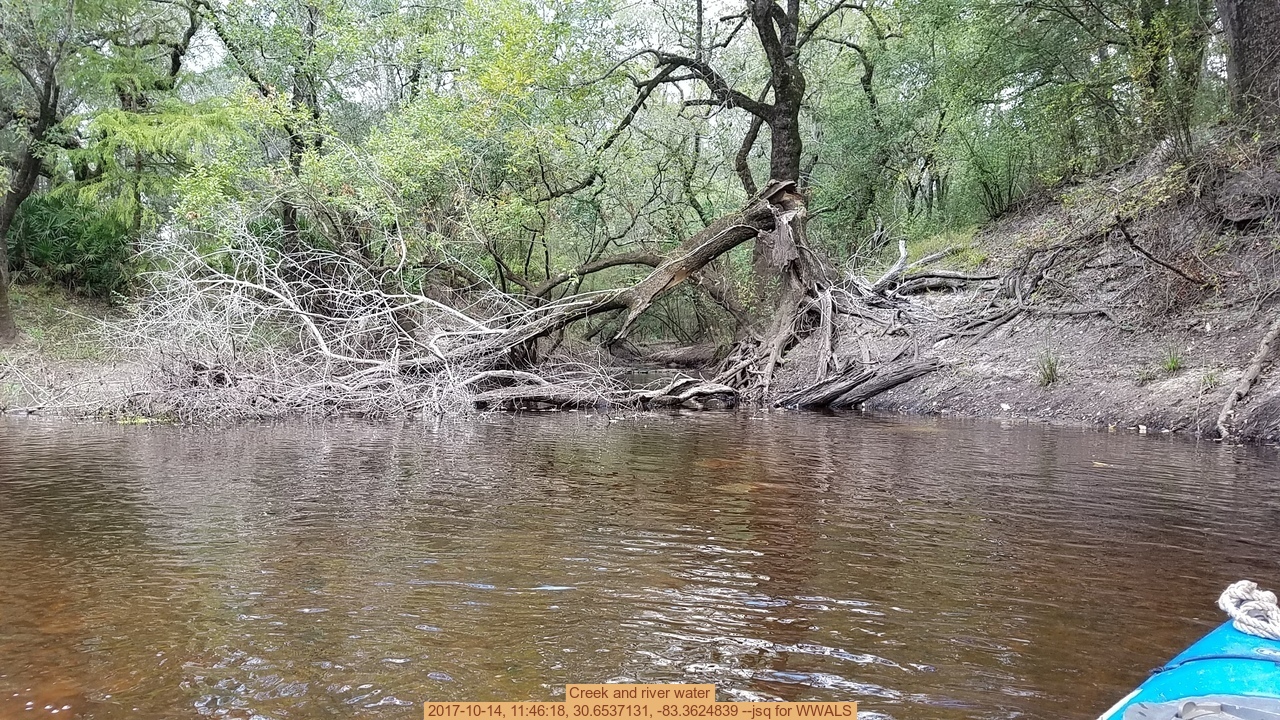 Creek and river water, 2017-10-14, 11:46:18, 30.6537131, -83.3624839 --jsq for WWALS