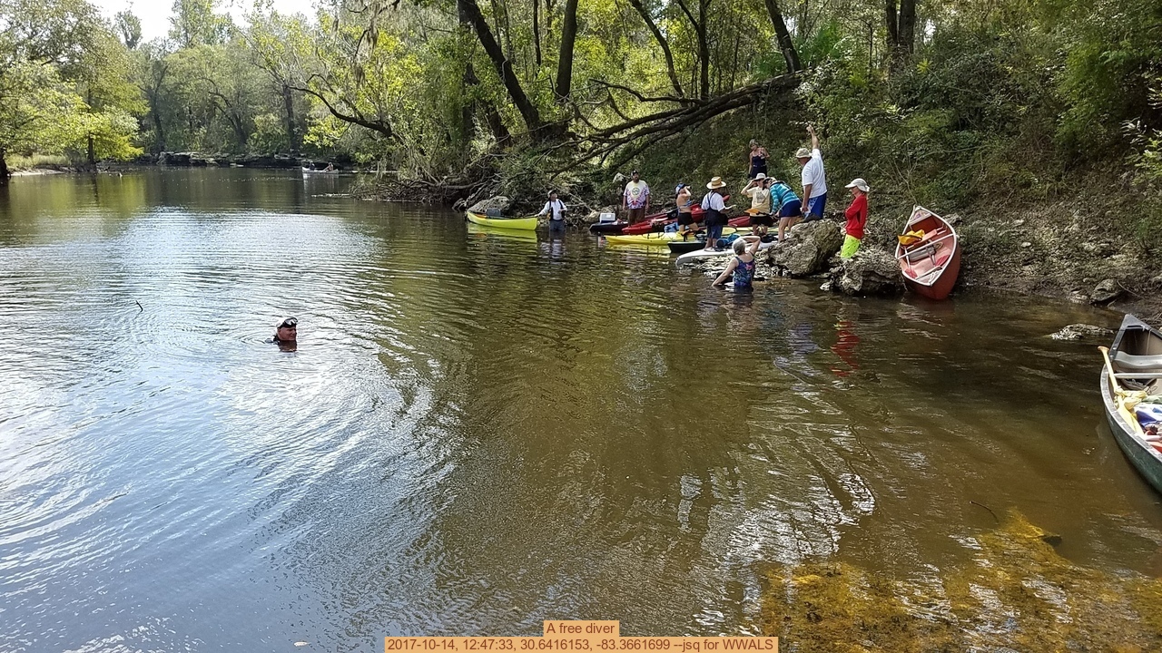 A free diver, 2017-10-14, 12:47:33, 30.6416153, -83.3661699 --jsq for WWALS