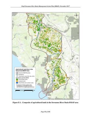 [Figure E-1. Suwannee River Basin BMAP area]