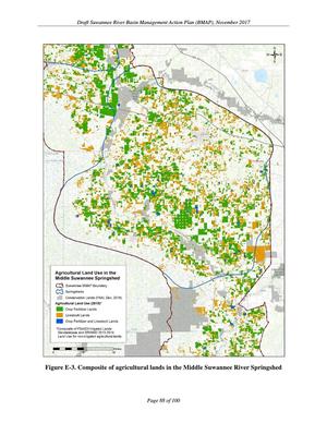 [Figure E-3. Middle Suwannee River Springshed]