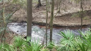 [Green palmetto, red water, 13:18:09, 30.5837666, -83.0535975]