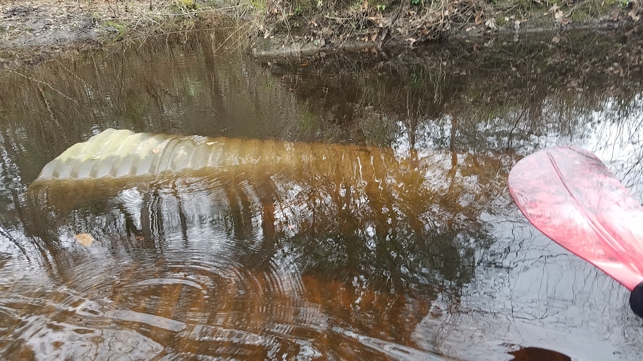 Need smaller culverts, 10:45:06, 31.016234, -83.303500