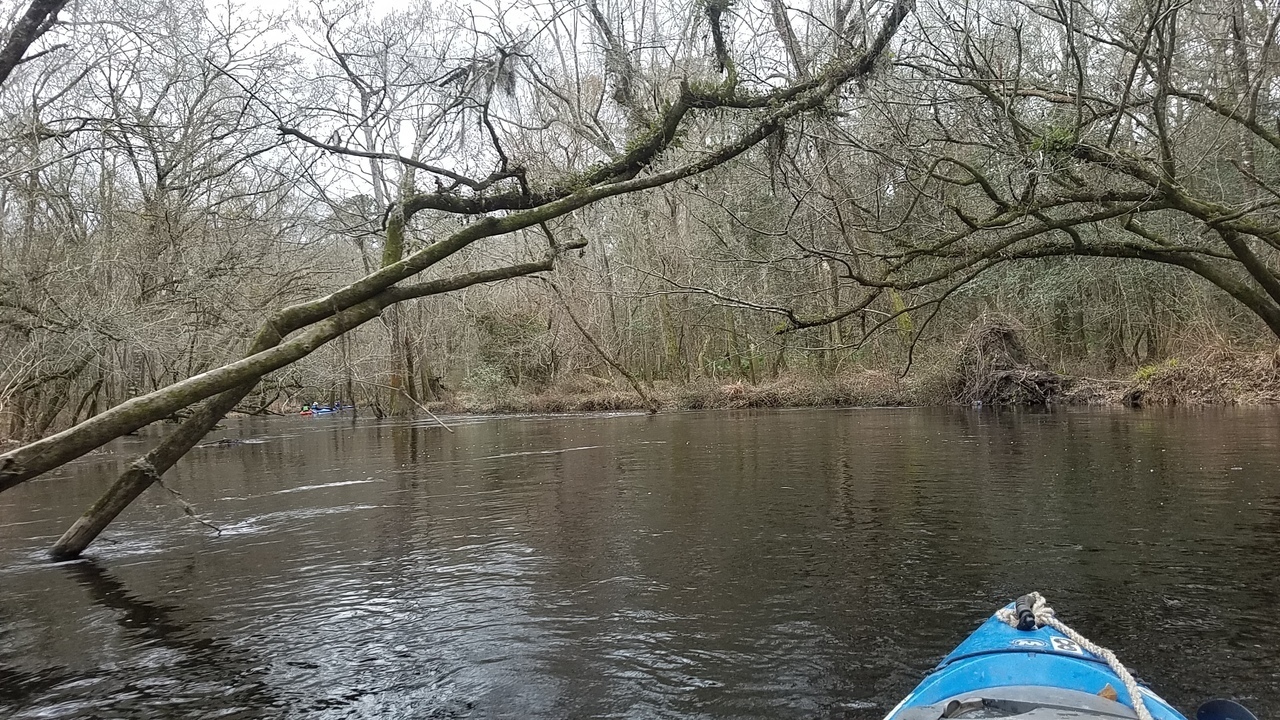 Overhanging branches, 12:24:12, 30.9912319, -83.2810456