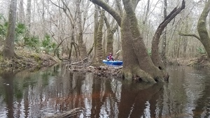 [Cathy Smith coming along, 10:42:38, 31.015358, -83.302553]