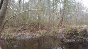 [Beaver slide? 10:45:03, 31.016211, -83.303524]