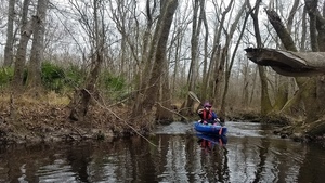 [Cathy up the last rapid, 10:57:06, 31.01847, -83.303757]