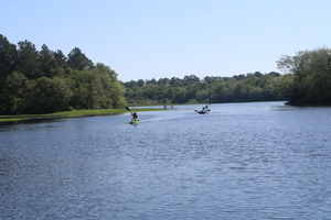 [Five boats visible]