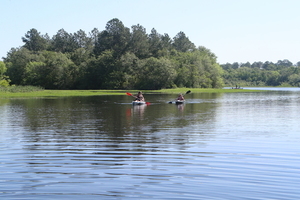 [Pair of paddlers]