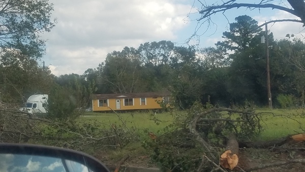 Trees down, 15:35:20, 31.5799525, -84.1049442