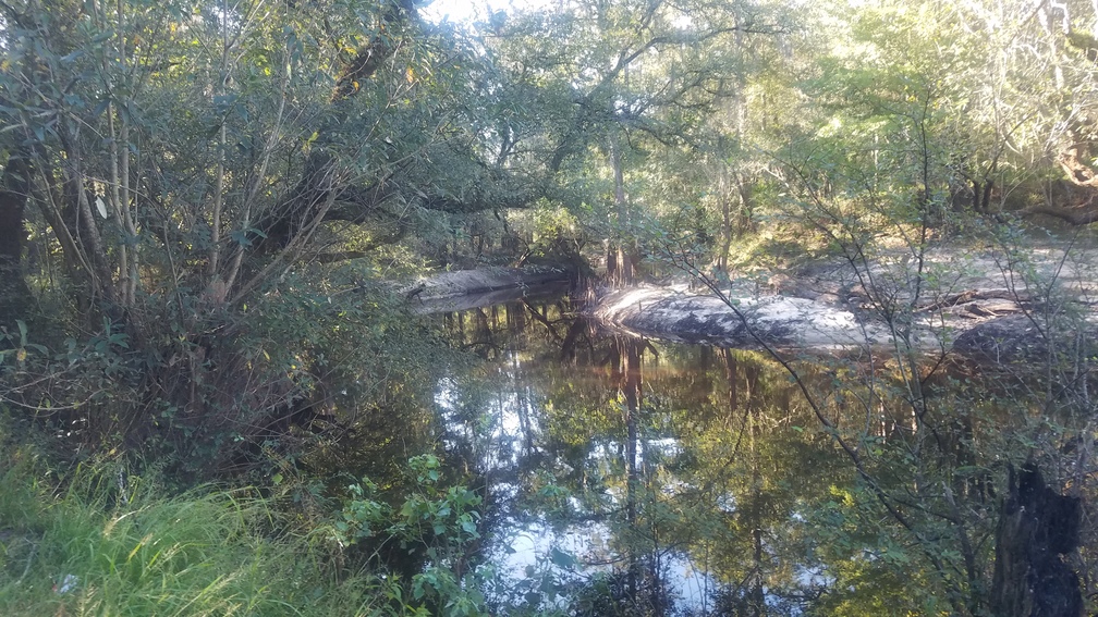 Withlacoochee River upstream, 09:37:23, 30.8471536, -83.3475122