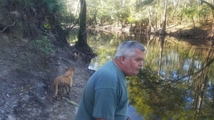 [Ronnie Thomas and dogs downstream, 09:31:49, 30.8484784, -83.3482902]