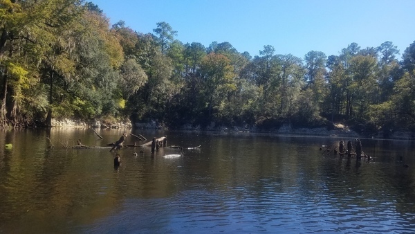 Downstream, Hamilton County, FL on right, 12:19:44, 30.634999, -83.3091667