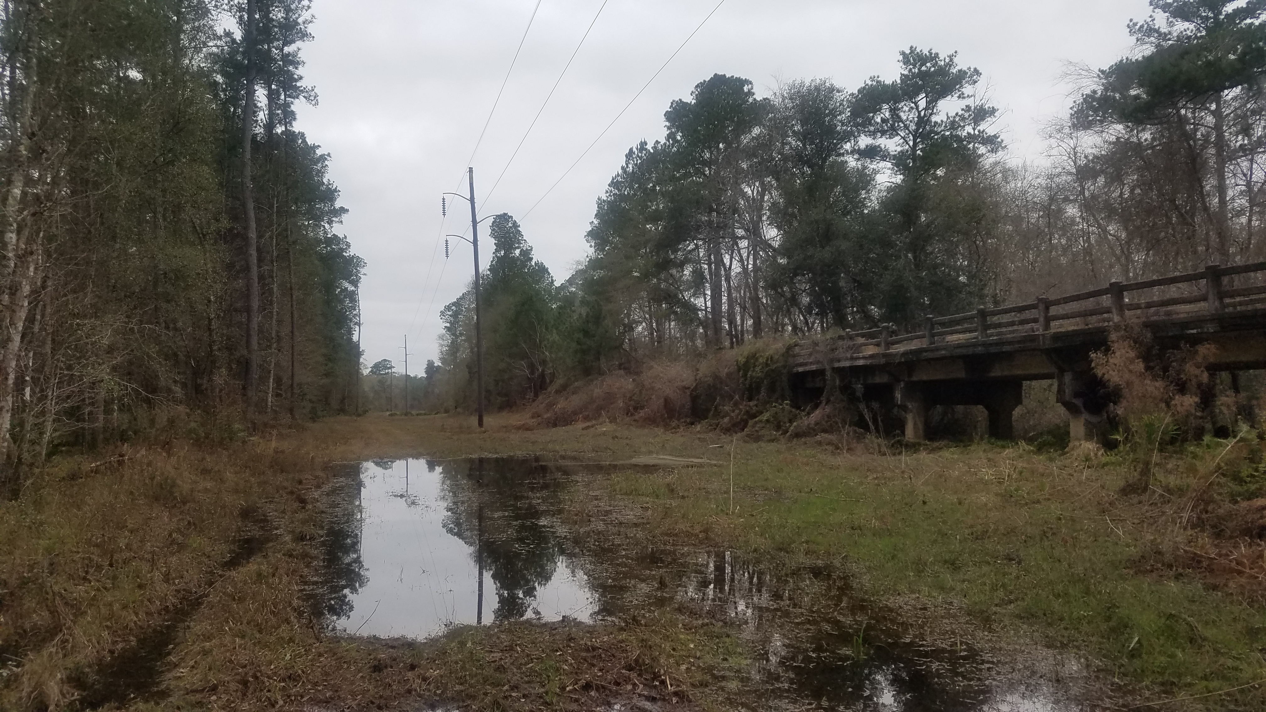 Bridge and power line, 14:11:13, 30.7898639, -83.4482478