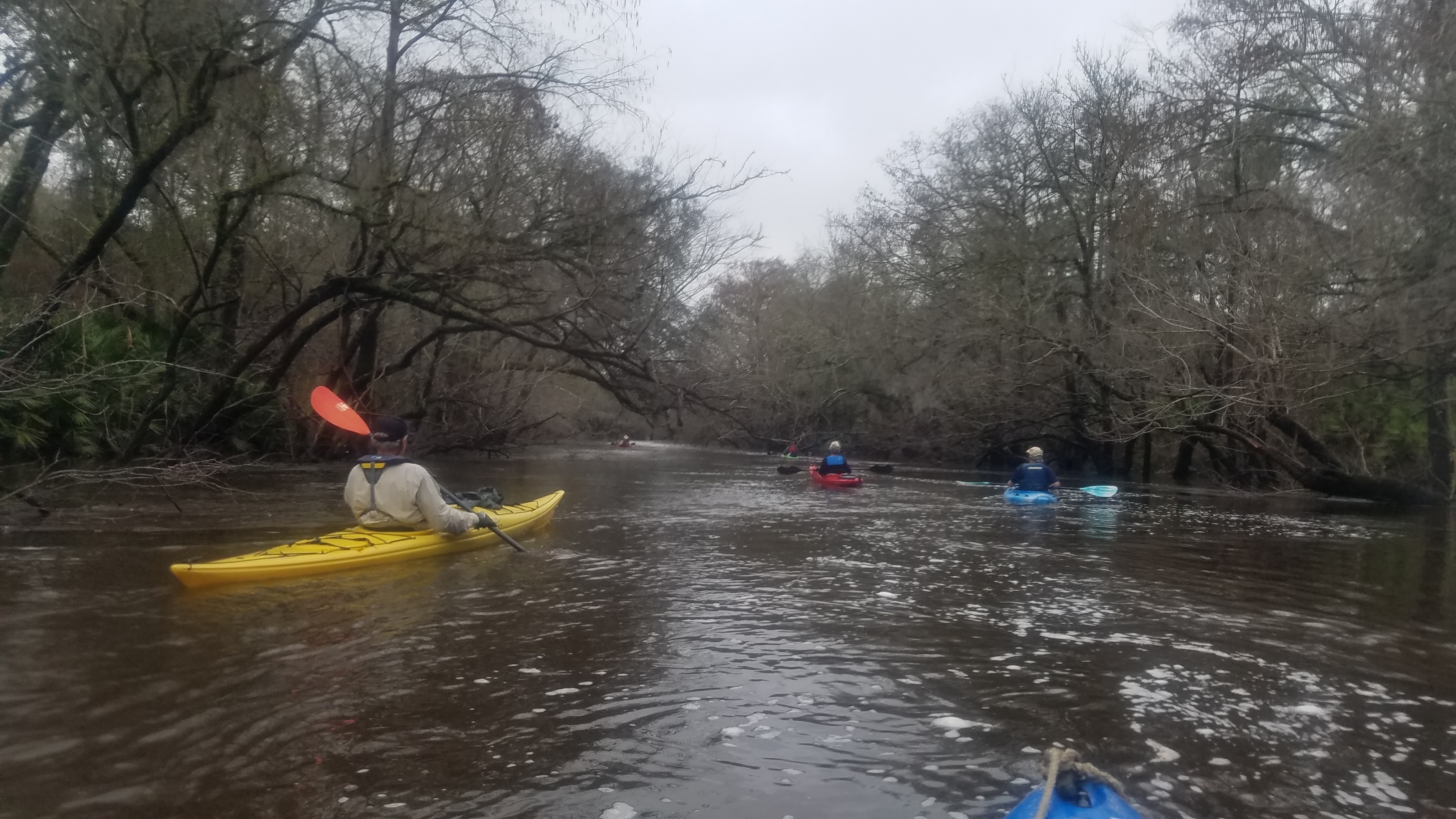 Probably rapids if river was lower, 13:45:45, 30.81706, -83.42926