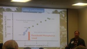 [Threshold Phosphorus Load, Lake Lochloosa]