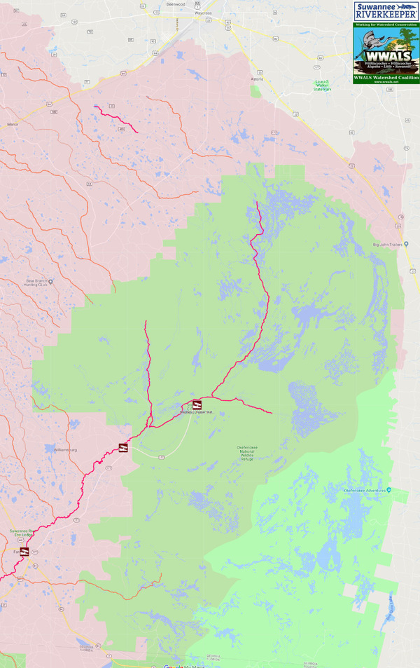 Okefenokee Swamp