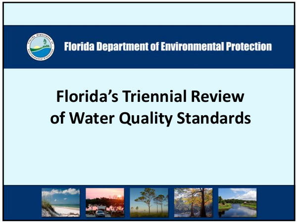 [Florida's Triennial Review of Water Quality Standards]