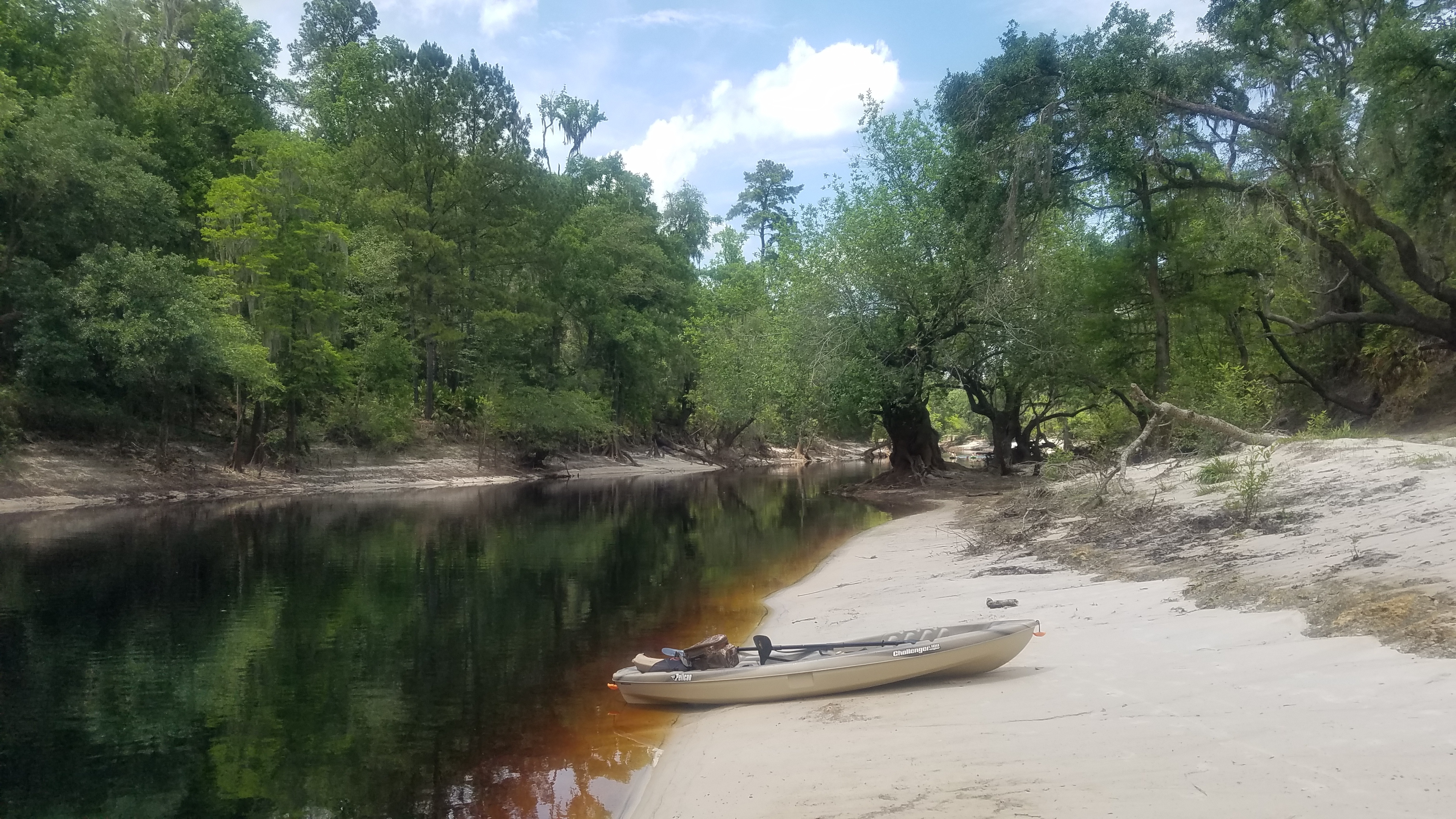 The last kayak, 14:23:39, 30.4448232, -82.6708835