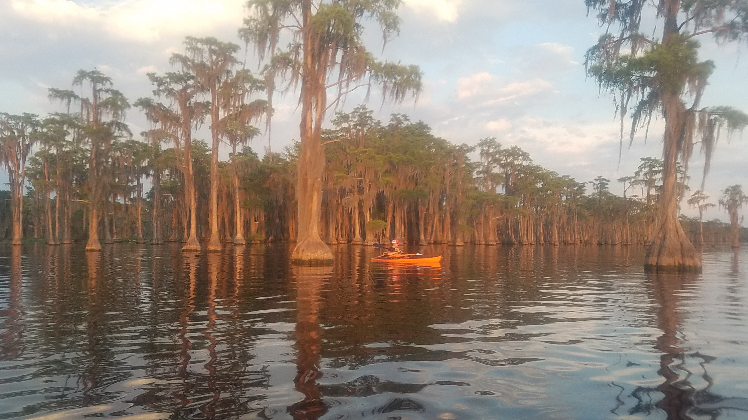 One paddler