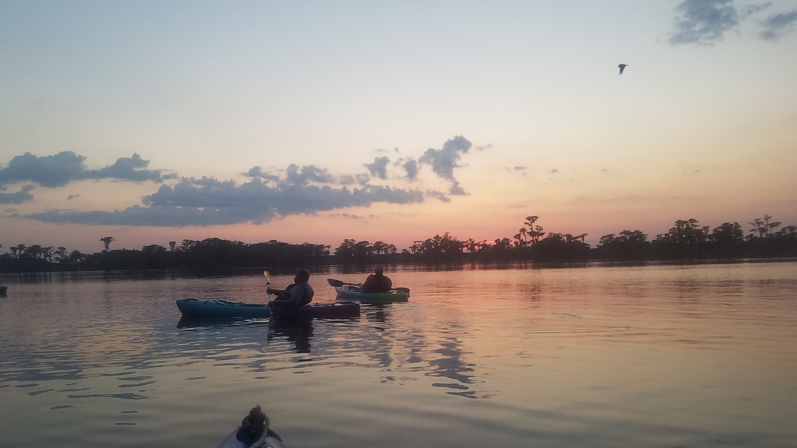 Boats and osprey