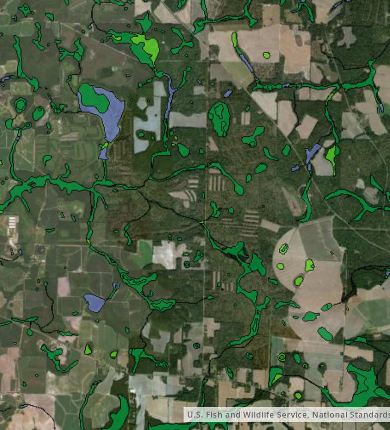 National Wetlands Inventory