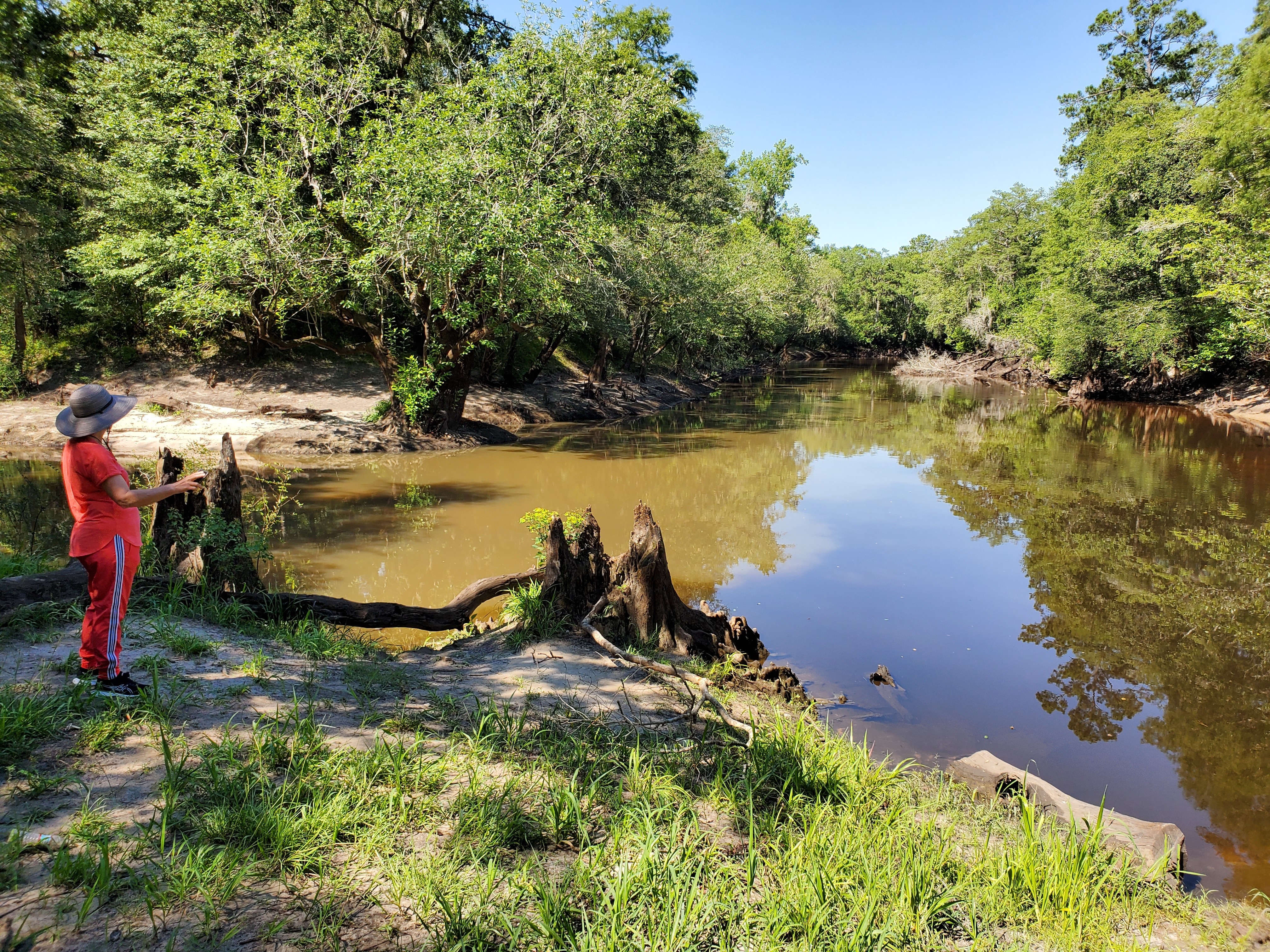 Downstream Withlacoochee River, 10:48:15, 30.846955, -83.347810