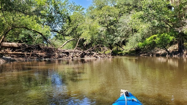 Deadfall upstream of VMW RR Bridge site, 11:13:02, 30.8414105, -83.3530515