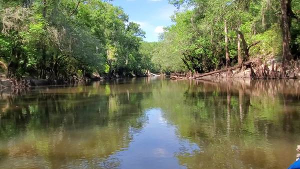 [Movie: Withlacoochee River, 30.83638, -83.35897 (2.5M)]