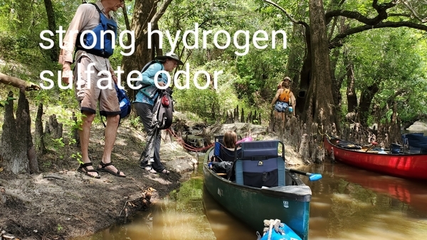 [Strong hydrogen sulfate odor, 14:48:22, 30.8183397, -83.4494719]