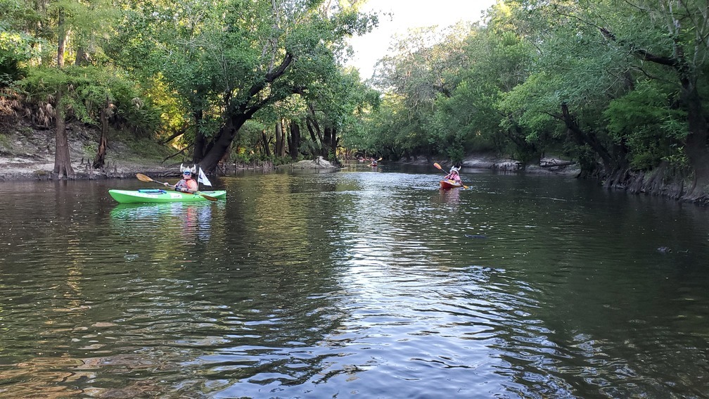 Here they come on the Little River, 08:04:34, 30.8469948, -83.3475821